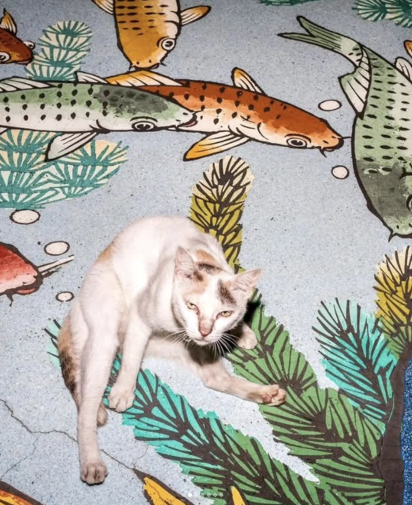 Tetsuya Kusu: An Extension of Life at Kathmandu Photo Gallery