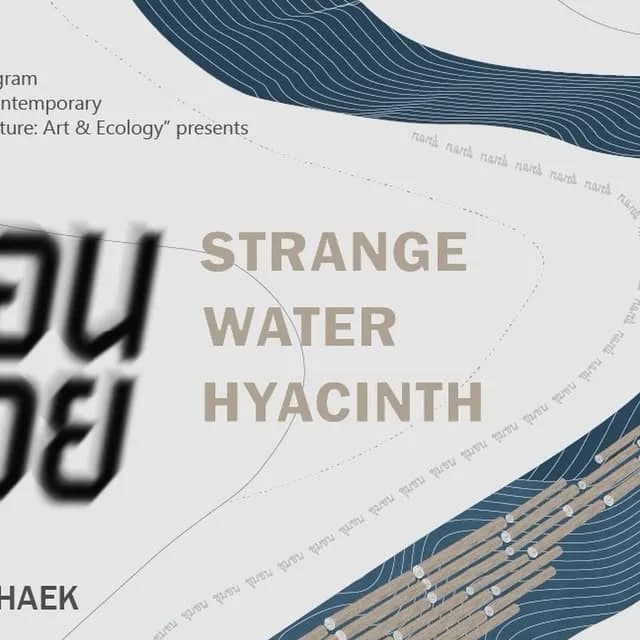 Strange Water Hyacinth (เรือนลอย) at Warin Lab Contemporary