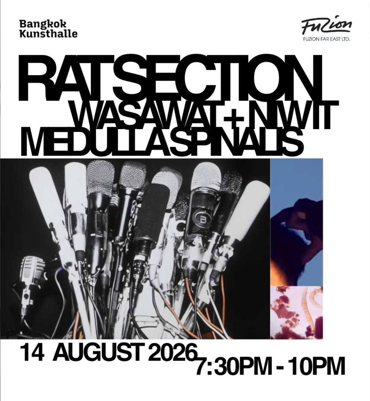 Rat Section at Bangkok Kunsthalle