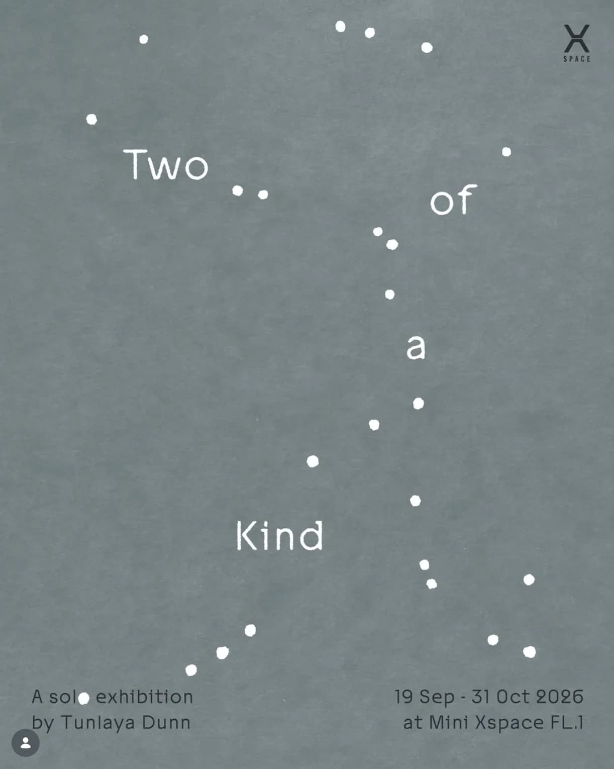 Two of a kind at Xspace Art Gallery
