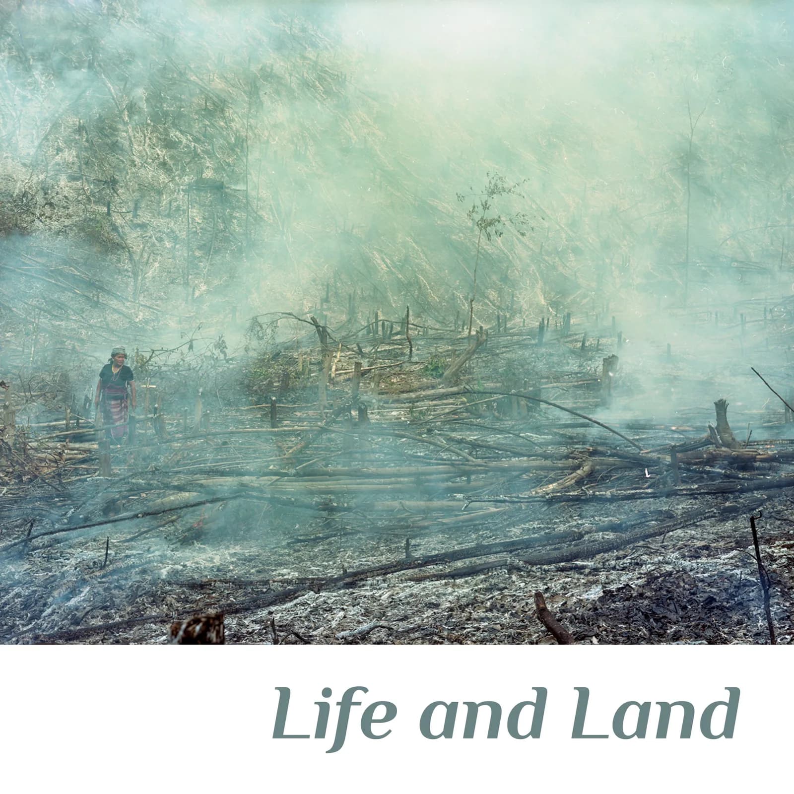 Life and Land at Bangkok Art and Cultural Center (BACC)