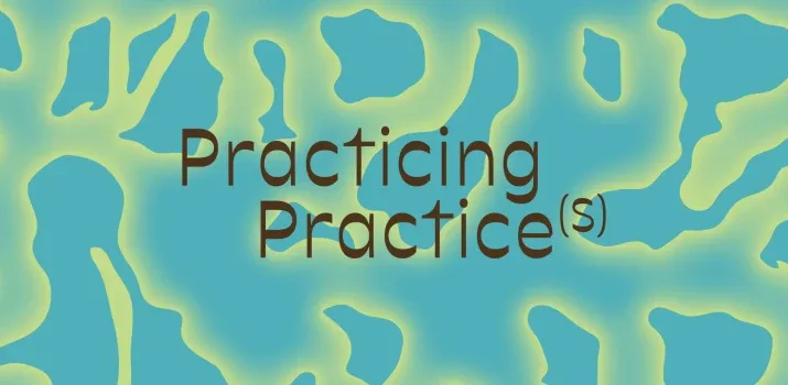 Practicing Beyond the Institution at deCentral